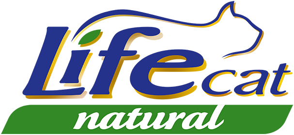 Lifecat